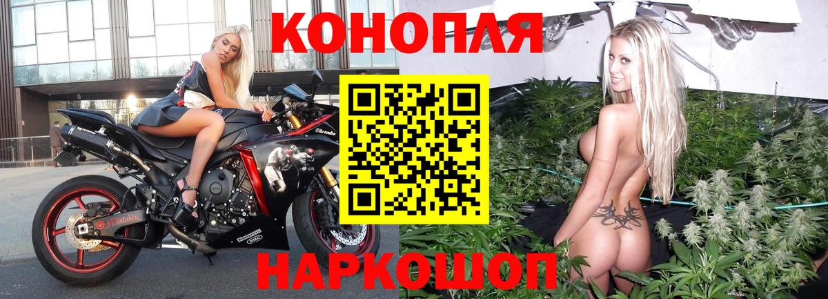 Конопля Bruce Banner Отрадный